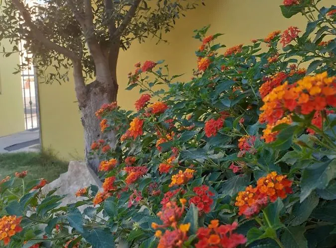 A In Zona Residenziale Pula